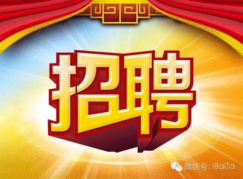 2017年8月18日 白塔堡 浑南区 苏家屯 沈阳市内招聘信息