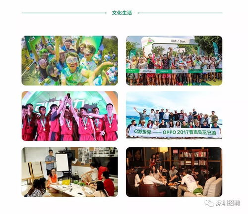 深圳招聘 8岗位 oppo 深圳 3月多个岗位正在招人