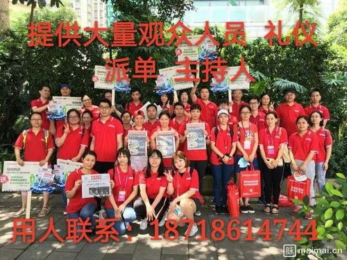 深圳专业提供人员团队