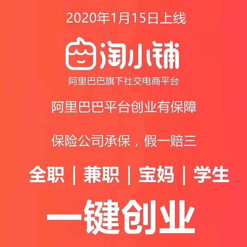 自动化赚钱系统 用财富觉醒生命